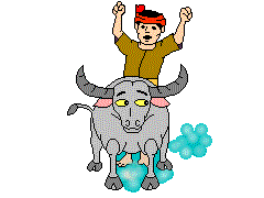 Riding Water Buffalo